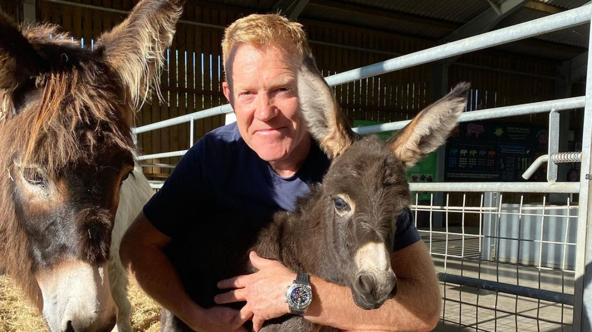 BBC One presenter Adam Henson hits back at plant milks