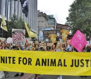 Animal freedom justice movement march in london