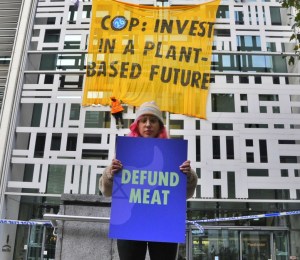 Animal Rebellion climb Defra building in COP26 protest