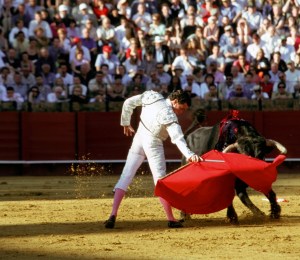 The Mexican state of Sinaloa has banned bullfighting, becoming the country's 5th