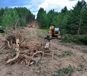 105 countries pledge to end deforestation