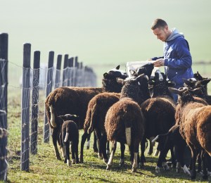 EU adopts Farm to Fork strategy in plant-based shift