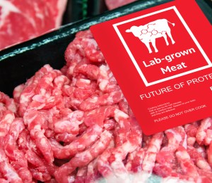 Is The Future Lab-Grown? From Meat To Diamonds: Meet The Companies Leading The Way