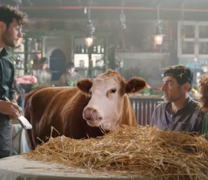 A still from Vegan Friendly UK's latest advert