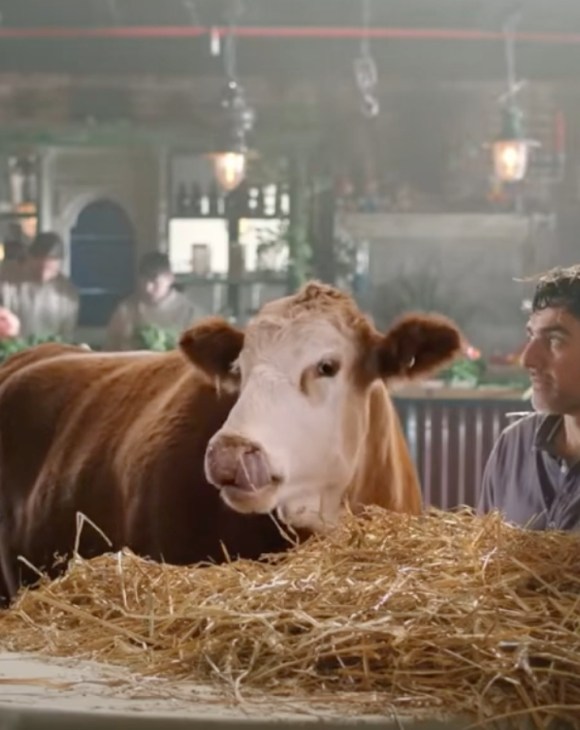 A still from Vegan Friendly UK's latest advert