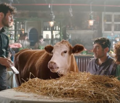 A still from Vegan Friendly UK's latest advert