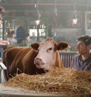 A still from Vegan Friendly UK's latest advert
