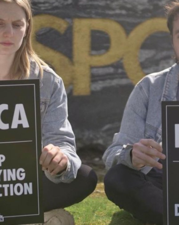animal rebeillion protestors sat down on grass calling on RSPCA to stop certifying destruction