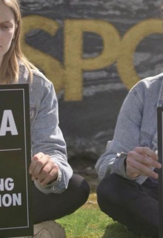 animal rebeillion protestors sat down on grass calling on RSPCA to stop certifying destruction