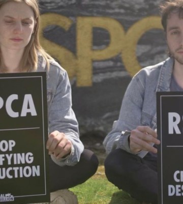 animal rebeillion protestors sat down on grass calling on RSPCA to stop certifying destruction