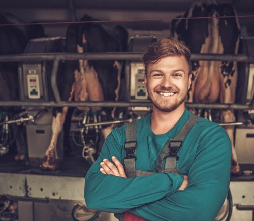 Farmer in animal agriculture