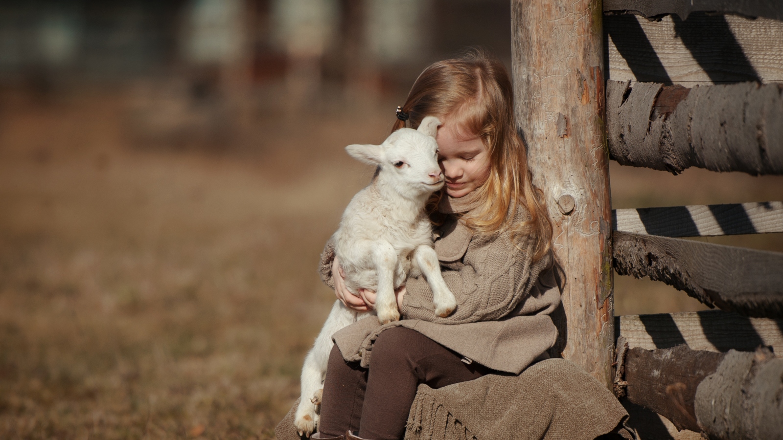 Young child cuddling a lamb at a farm