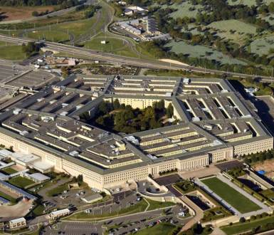 A chicken named Henny Penny wandered into a Pentagon security checkpoint