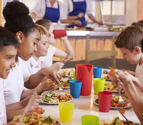 Primary school kids eating meals in school cafeteria