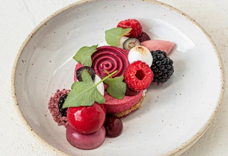 Vegan fine dining dish with berries