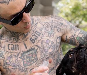 Vegan Blink-182 Drummer Travis Barker Launches CBD Products for Pets
