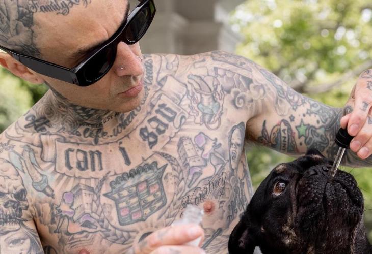 Vegan Blink-182 Drummer Travis Barker Launches CBD Products for Pets